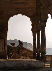 Jaipur I 071