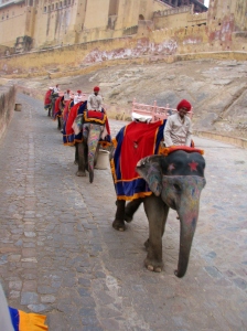 Jaipur II 030