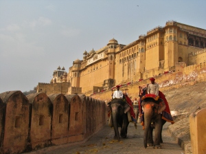 Jaipur II 159